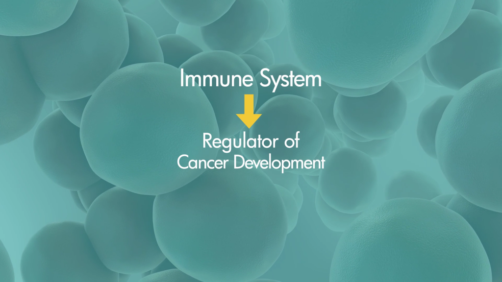 Cancer and Immune System(2)